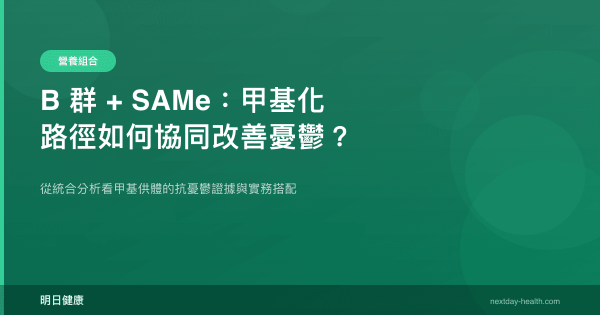 B 群 + SAMe：甲基化路徑如何協同改善憂鬱？