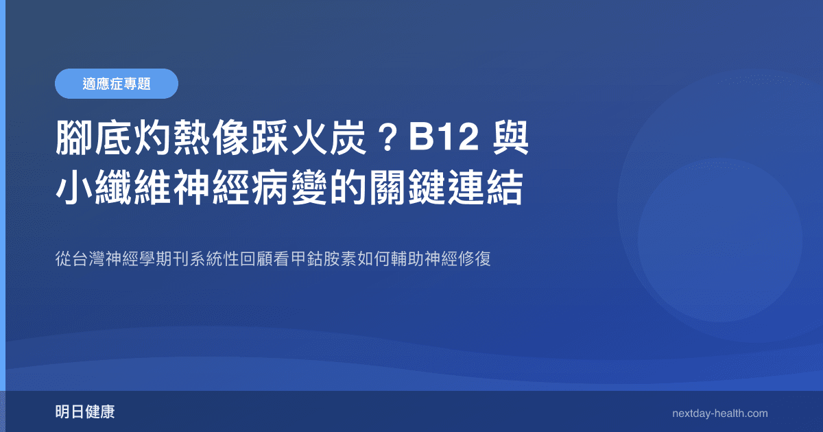 腳底灼熱像踩火炭？B12 與小纖維神經病變的關鍵連結