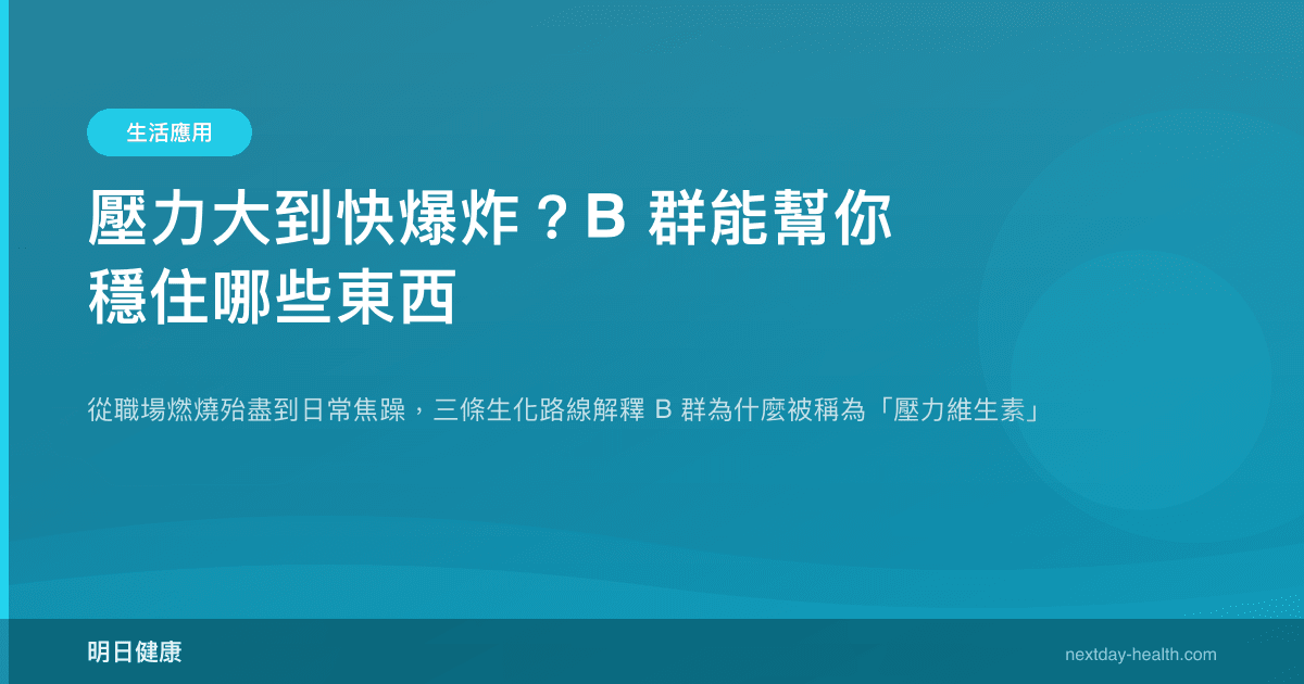 壓力大到快爆炸？B 群能幫你穩住哪些東西