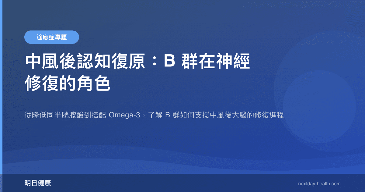 中風後認知復原：B 群在神經修復的角色