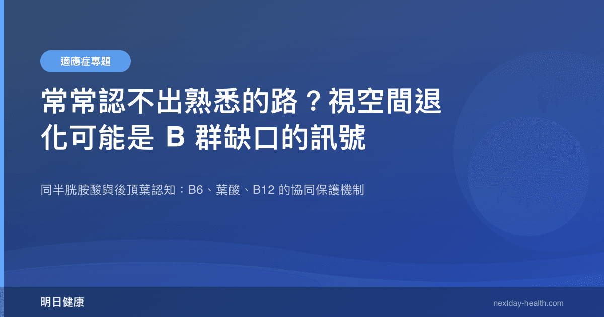常常認不出熟悉的路？視空間退化可能是 B 群缺口的訊號