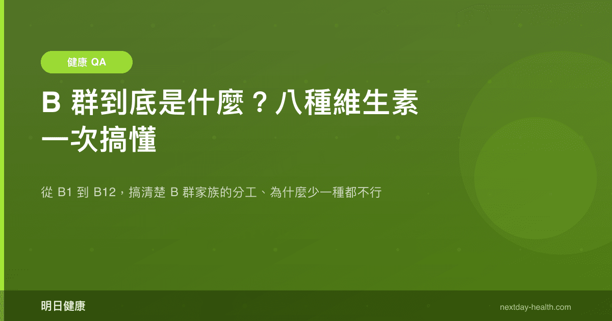 B 群到底是什麼？八種維生素一次搞懂