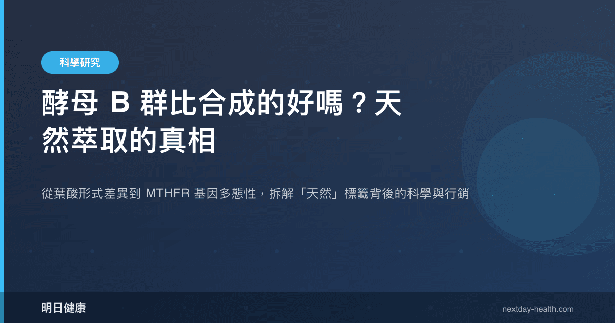 酵母 B 群比合成的好嗎？天然萃取的真相