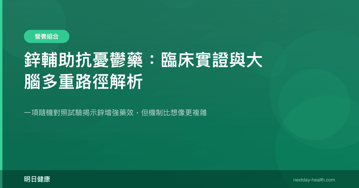 鋅輔助抗憂鬱藥：臨床實證與大腦多重路徑解析